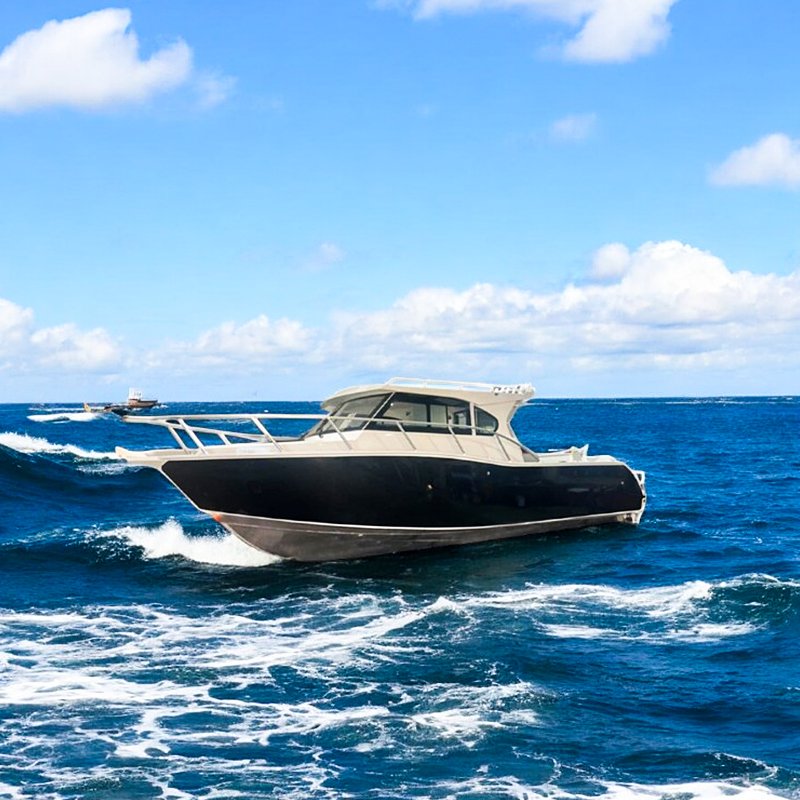 Australian 30ft Luxury Yacht Cheap Aluminum Fishing Boat with Outboard Engine